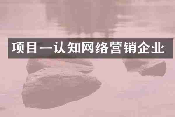 项目一认知网络营销企业