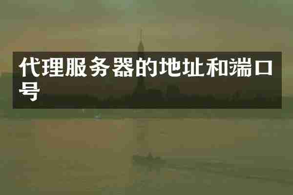 代理服务器的地址和端口号