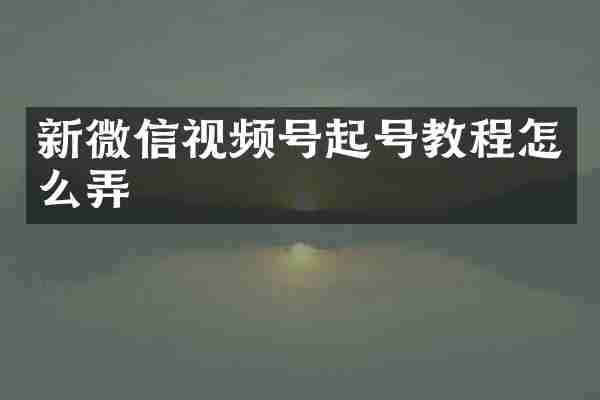 新微信视频号起号教程怎么弄