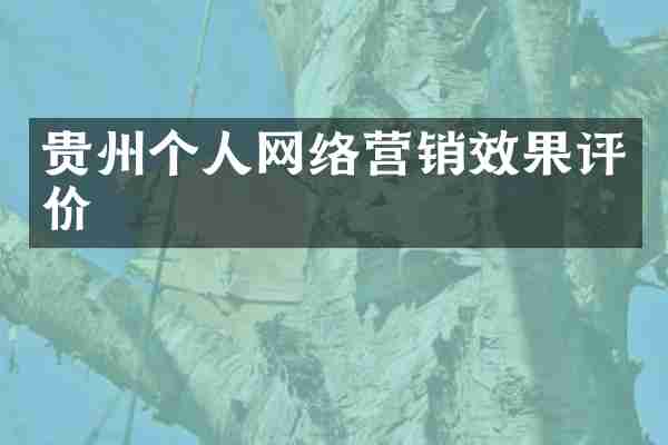 贵州个人网络营销效果评价