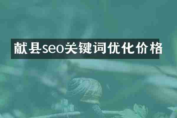 献县seo关键词优化价格