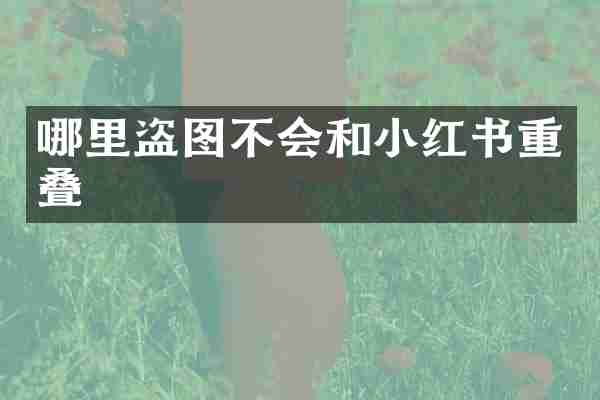 哪里盗图不会和小红书重叠