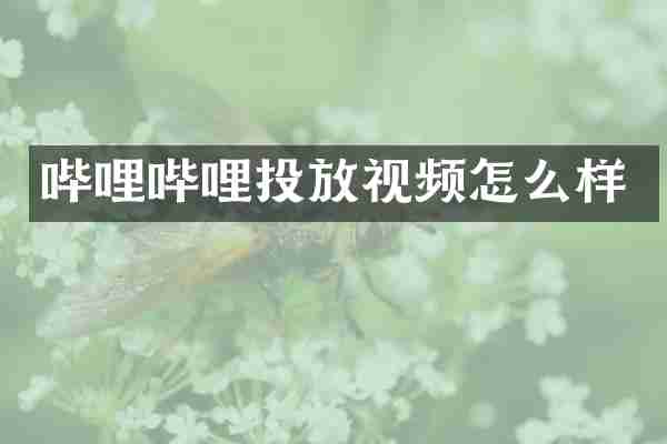 哔哩哔哩投放视频怎么样