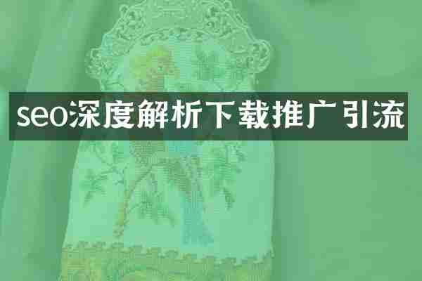 seo深度解析下载推广引流
