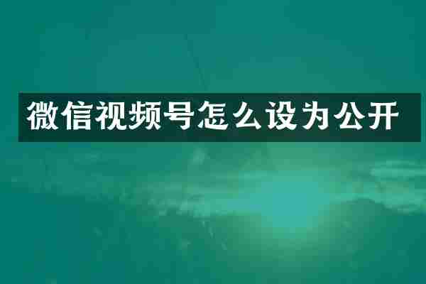 微信视频号怎么设为公开