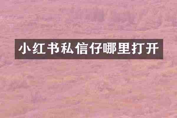 小红书私信仔哪里打开