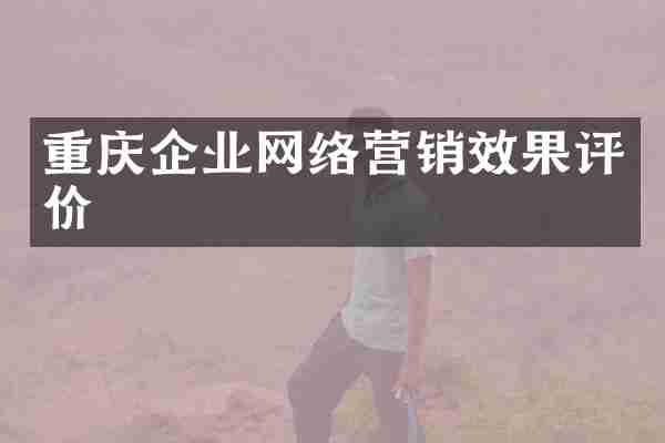 重庆企业网络营销效果评价