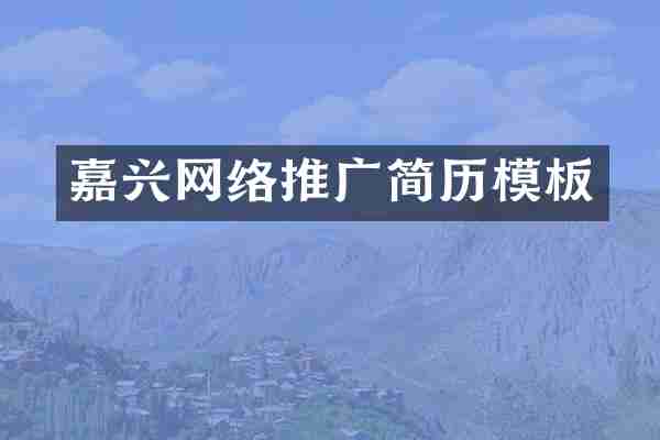 嘉兴网络推广简历模板