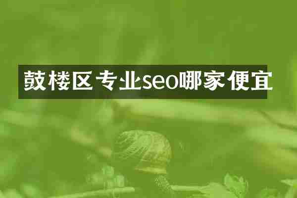 鼓楼区专业seo哪家便宜