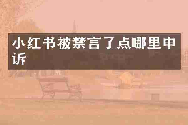 小红书被禁言了点哪里申诉