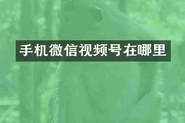 手机微信视频号在哪里