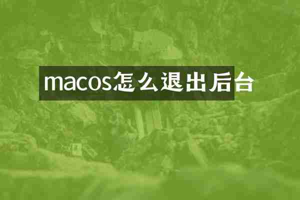 macos怎么退出后台