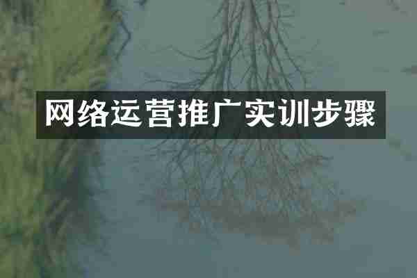 网络运营推广实训步骤