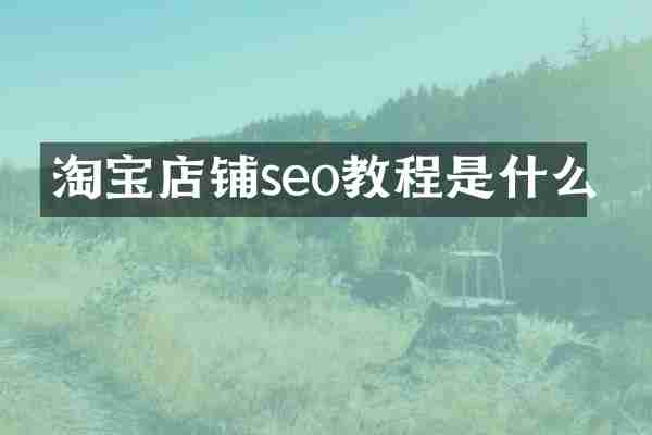 淘宝店铺seo教程是什么