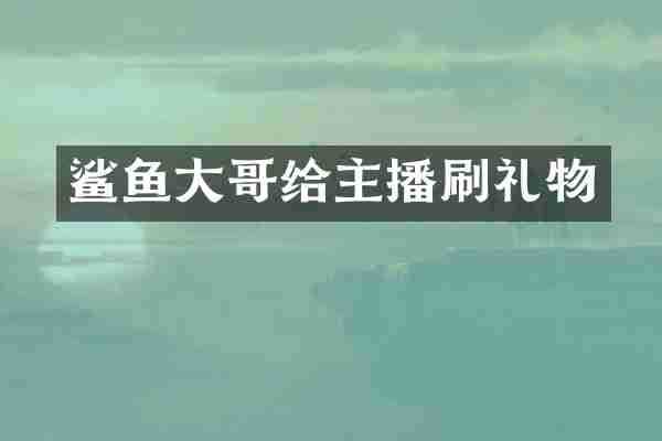 鲨鱼大哥给主播刷礼物