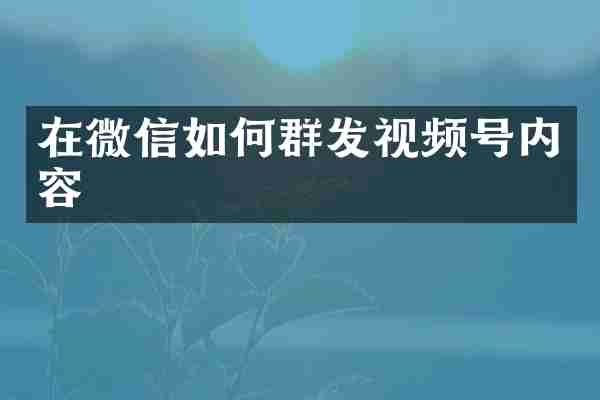 在微信如何群发视频号内容