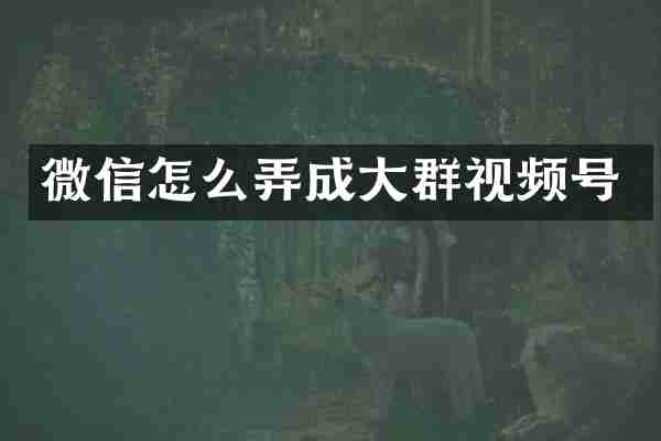 微信怎么弄成大群视频号