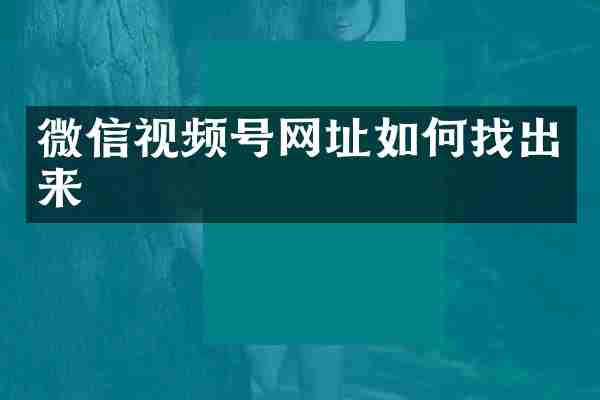 微信视频号网址如何找出来