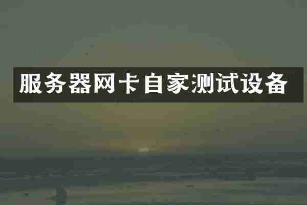 服务器网卡自家测试设备