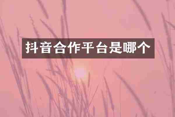 抖音合作平台是哪个