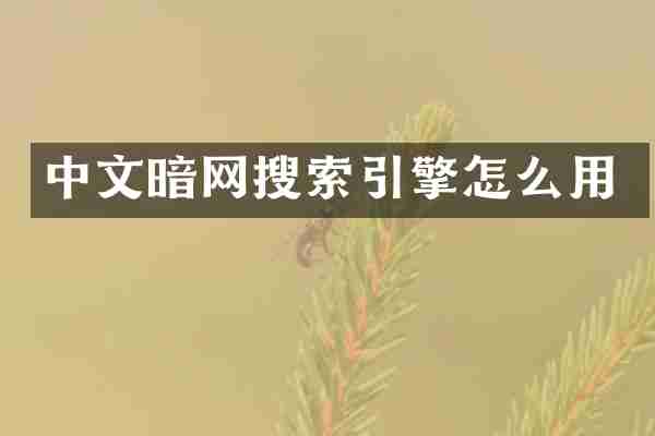 中文暗网搜索引擎怎么用