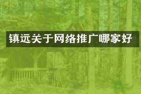 镇远关于网络推广哪家好