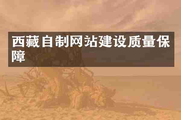西藏自制网站建设质量保障