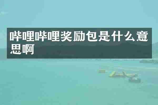 哔哩哔哩奖励包是什么意思啊