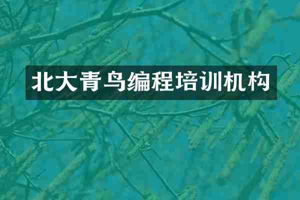 北大青鸟编程培训机构