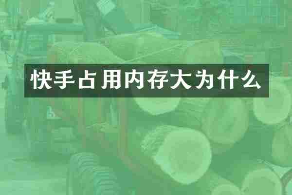 快手占用内存大为什么