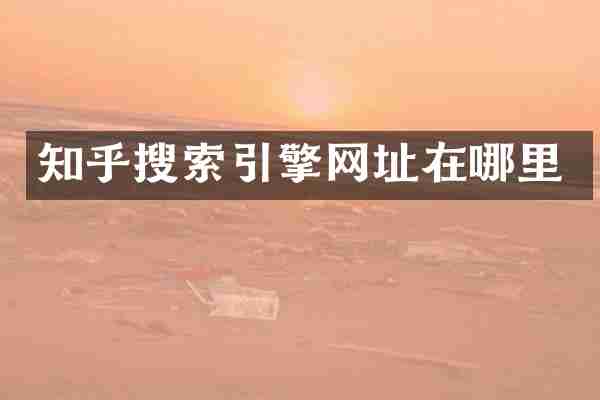 知乎搜索引擎网址在哪里
