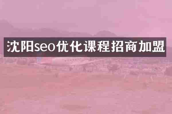 沈阳seo优化课程招商加盟