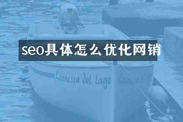 seo具体怎么优化网销