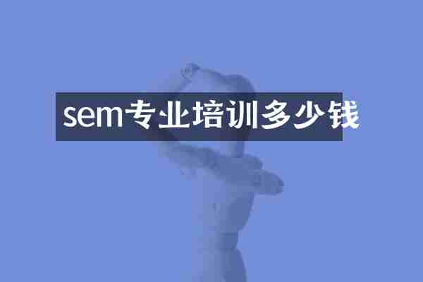 sem专业培训多少钱