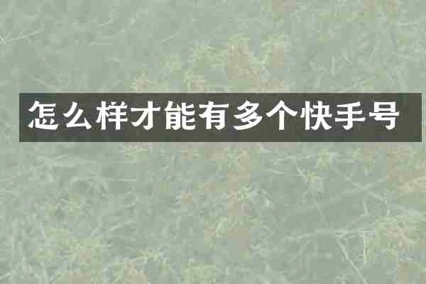 怎么样才能有多个快手号