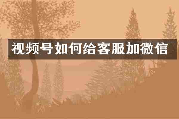 视频号如何给客服加微信