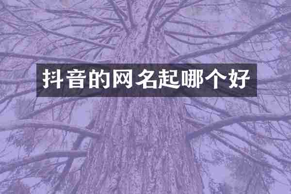 抖音的网名起哪个好