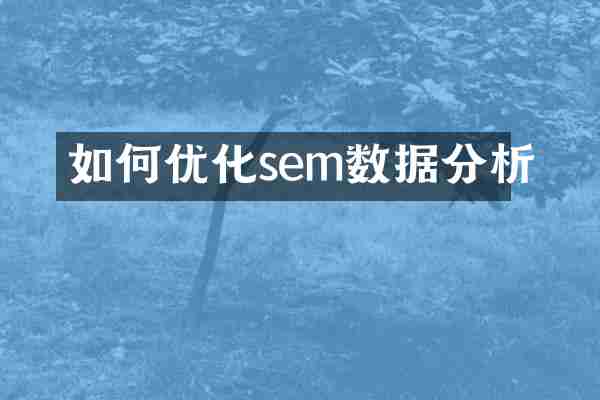 如何优化sem数据分析