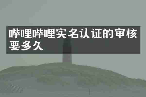 哔哩哔哩实名认证的审核要多久