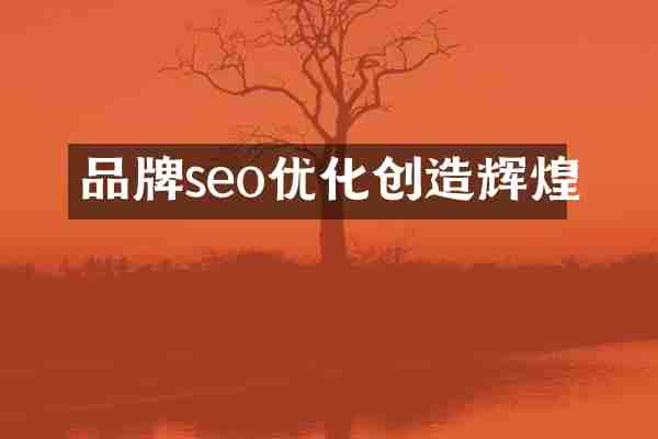 品牌seo优化创造辉煌