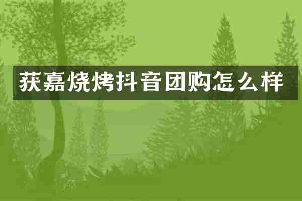 获嘉烧烤抖音团购怎么样
