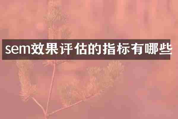 sem效果评估的指标有哪些