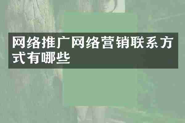 网络推广网络营销联系方式有哪些