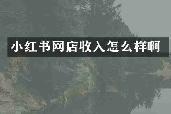 小红书网店收入怎么样啊