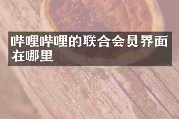 哔哩哔哩的联合会员界面在哪里