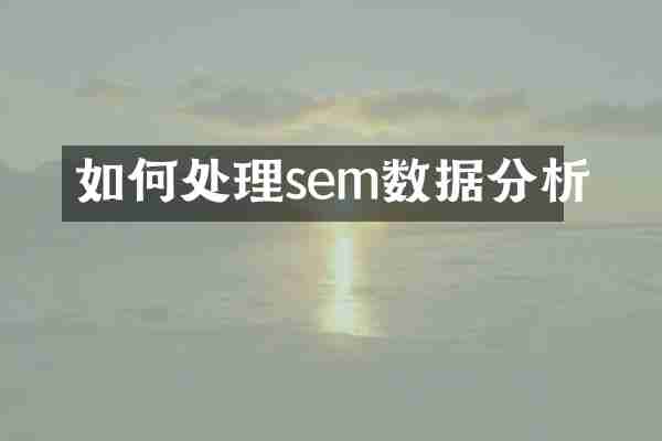 如何处理sem数据分析