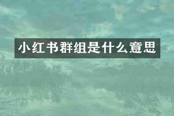 小红书群组是什么意思