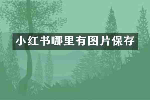 小红书哪里有图片保存