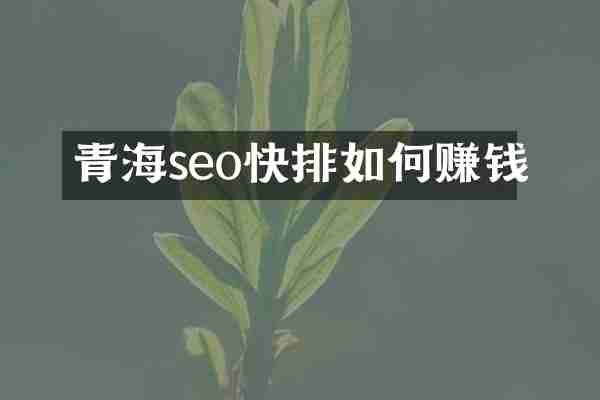 青海seo快排如何赚钱