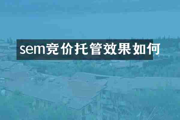 sem竞价托管效果如何